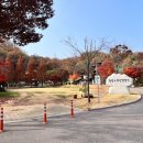 도덕산 캠핑장 네이버블로그