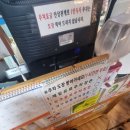 대구점심추천_반월당역근처 가성비회덮밥/삼삼구이초밥/반려돌키우기