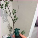 이가자 프리미엄 해운대점