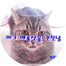 천록(아) 이미지