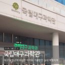 펭귄각종과학관 | 대구 실내 가볼만한곳 초등 아이와 국립대구과학관