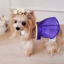 손바느질 생활한복 이미지