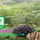 성림농장2 이미지