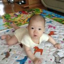 현서농장 이미지