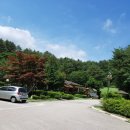평창그린힐리조트