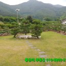 황금터부동산중개사무소 이미지