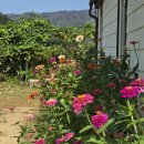 산뜨락힐링펜션 이미지