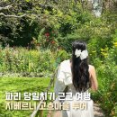 우정문화마을E | 파리 지베르니 투어 고흐마을 베르사유 당일치기 여행