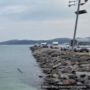 바다 풍경 | 충남 태안 민어도 물때 만조 시간 에메랄드 바다 풍경 후기