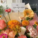 그리니크 이미지