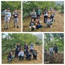 학봉초등학교 이미지