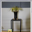 한국춘란 전시회 이미지