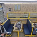 완사약국 이미지