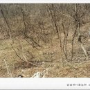 임실반디울농장 이미지