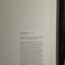 황소밧데리 이미지