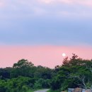 에덴가든민박 이미지