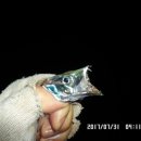 낚시만세 이미지