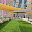 뭉스벨리 이미지