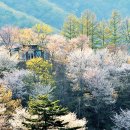 초록밭