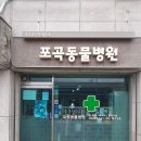 포곡동물병원 네이버블로그