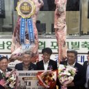 한우한마리 이미지