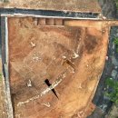 송학동-14 이미지