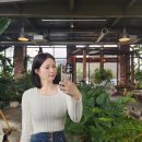 NR-48[김포대로]-하-34 | 김포 대형 베이커리 카페 추천 직접 가본 BEST 13 총정리