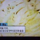 원영호