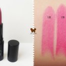 써니퍼피 이미지