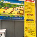 용천토리 오토캠핑장 이미지