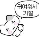 하도리 보통날 이미지