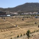 광명농장 이미지