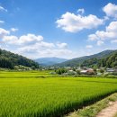 택조농장 | 농지에 집 짓기 가능할까?