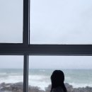 씨엔스톤 | 포항 씨엔스톤펜션, 바다뷰 힐링 후기