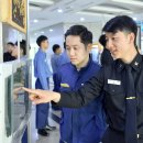 나무와 돌 이미지