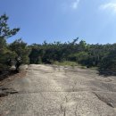 아따통닭 이미지