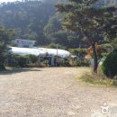 쭈꾸미사랑 이미지