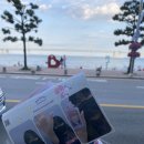 마벨펫푸드 이미지