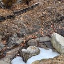 백운계곡둘레길 | 여행] 포천 겨울 당일치기 여행 코스 추천. 포천 아트밸리(천주호) / 백운계곡 동장군 축제 / 산정호수