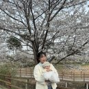 상동천 이미지