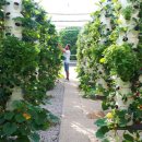 한세계농장 이미지