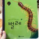 밤톨월드 네이버블로그