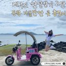 서리풀6길 21-4 | 제주도 혼자 한달살기 후기 2탄 우도 스쿠터와 동쪽 맛집