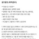 상록 PC | 안산 셀프스튜디오 애견동반 강아지랑 완소💕추억남기기 / 상록구 부록사진관