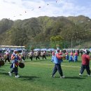 미탄체육공원 이미지