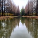 경주숲 3,4 이미지