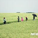 농업회사법인제주오라(유) 이미지
