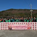 정성담은 이미지