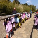 푸른꿈어린이집 이미지