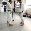 영종주짓수